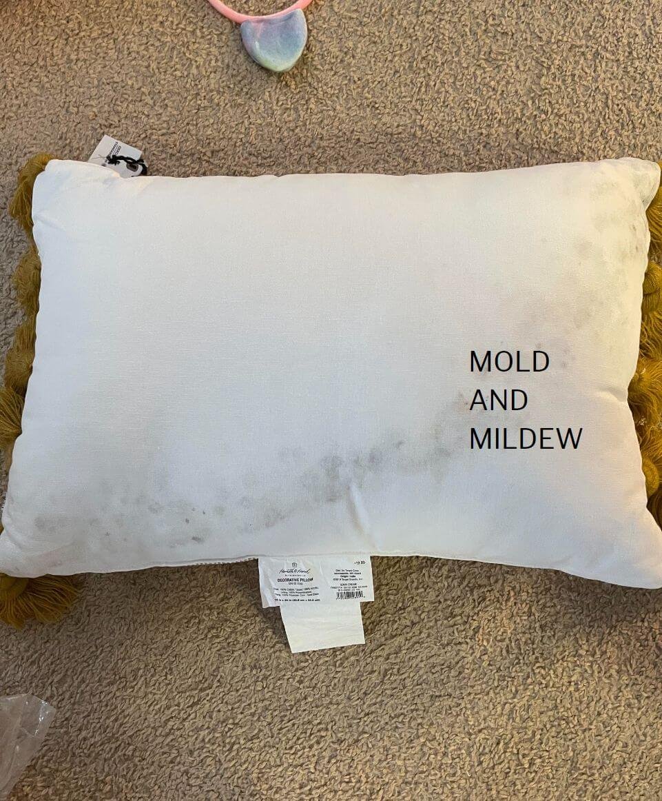 Wet hair on a pillow promotes mold and mildew growth