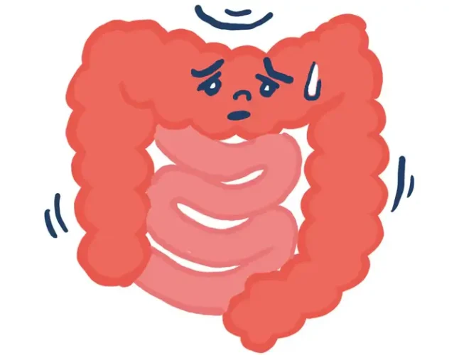 What Type Of Intestine Is Your Intestine First Intestinal Activity Navi