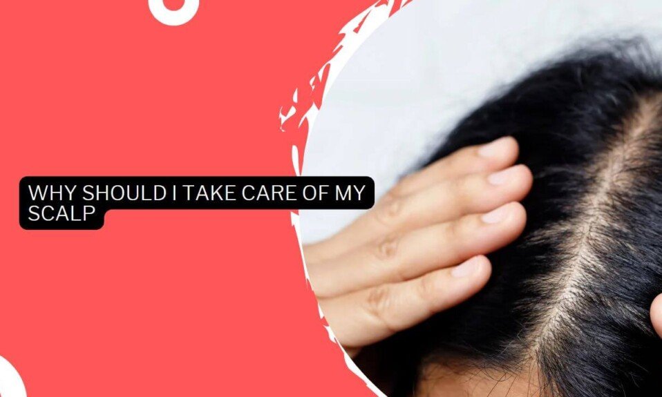 Why Should I Take Care Of My Scalp (1)